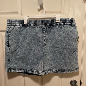 Terra & Sky Light Wash Jean Shorts